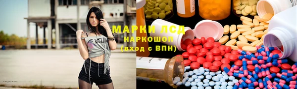 трава Сясьстрой