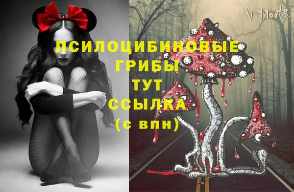 стаф Тавда