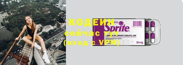 стаф Тавда