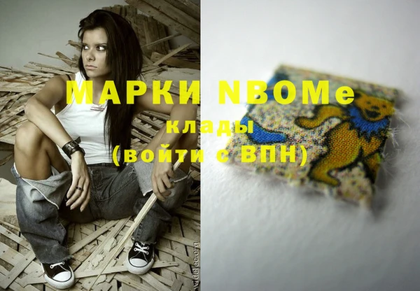 трава Сясьстрой