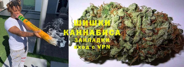 трава Сясьстрой