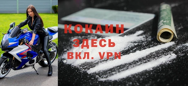 трава Сясьстрой