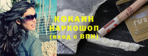стаф Тавда