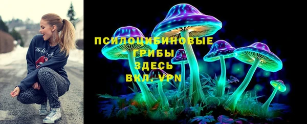 трава Сясьстрой