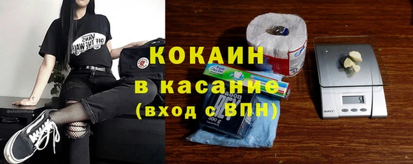 стаф Тавда